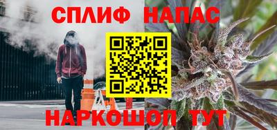сатива Рязань