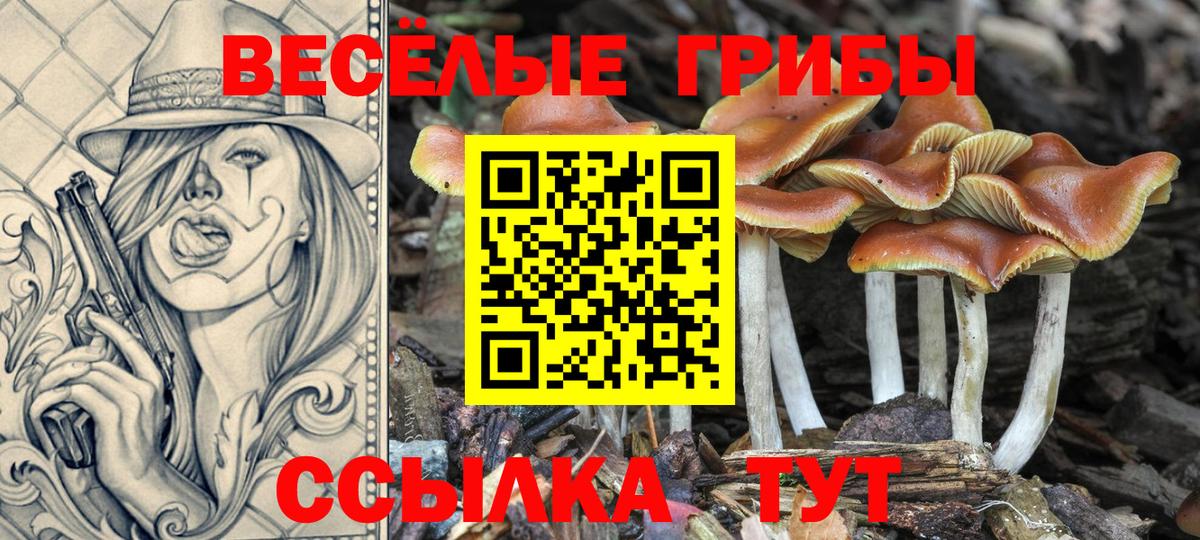 Псилоцибиновые грибы ЛСД Тобольск