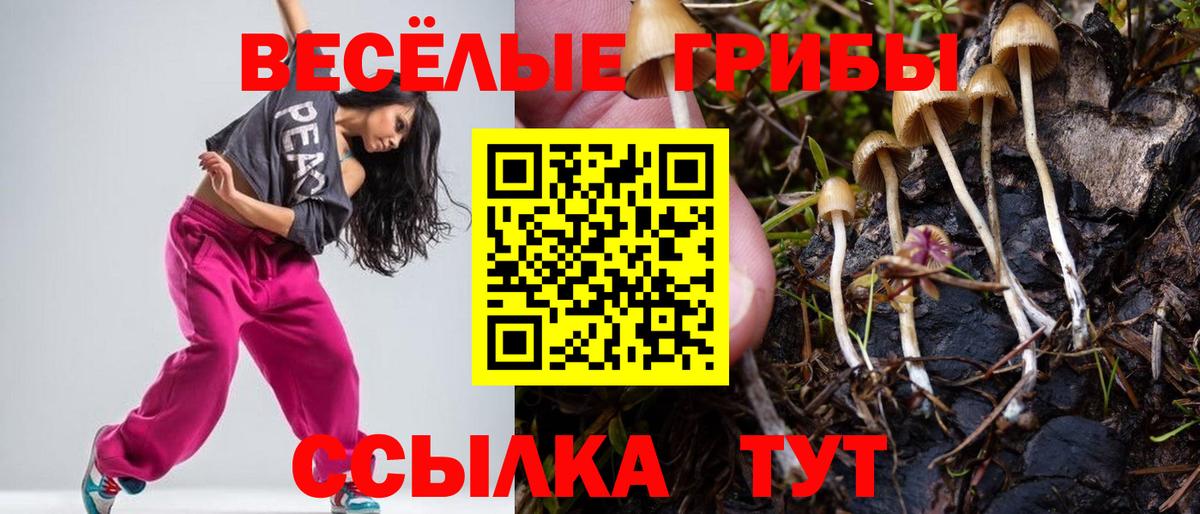 Галлюциногенные грибы мухоморы  Вход с VPN  Псилоцибиновые грибы ЛСД  Тобольск 